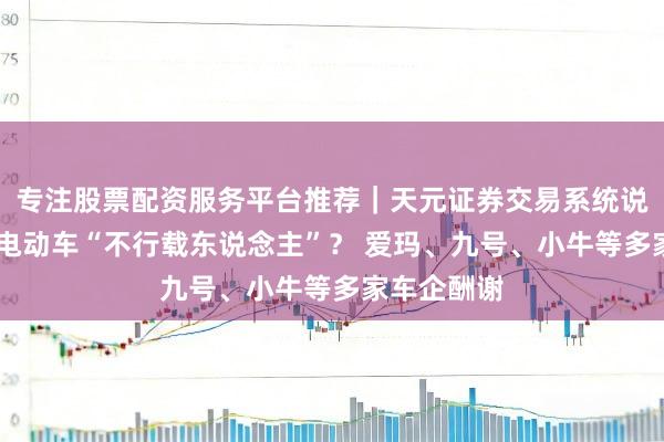 专注股票配资服务平台推荐｜天元证券交易系统说明 新国标电动车“不行载东说念主”？ 爱玛、九号、小牛等多家车企酬谢