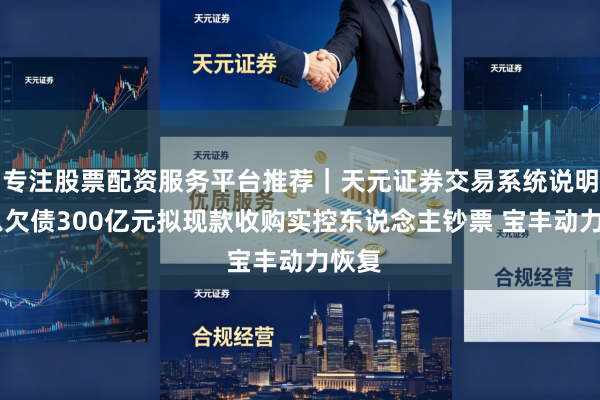 专注股票配资服务平台推荐｜天元证券交易系统说明 有息欠债300亿元拟现款收购实控东说念主钞票 宝丰动力恢复