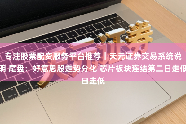 专注股票配资服务平台推荐｜天元证券交易系统说明 尾盘：好意思股走势分化 芯片板块连结第二日走低