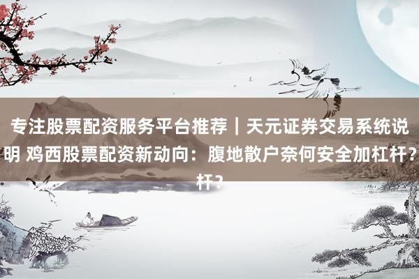 专注股票配资服务平台推荐｜天元证券交易系统说明 鸡西股票配资新动向：腹地散户奈何安全加杠杆？
