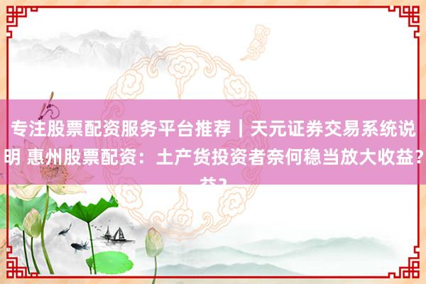 专注股票配资服务平台推荐｜天元证券交易系统说明 惠州股票配资：土产货投资者奈何稳当放大收益？