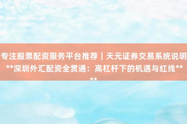 专注股票配资服务平台推荐｜天元证券交易系统说明 **深圳外汇配资全贯通：高杠杆下的机遇与红线**